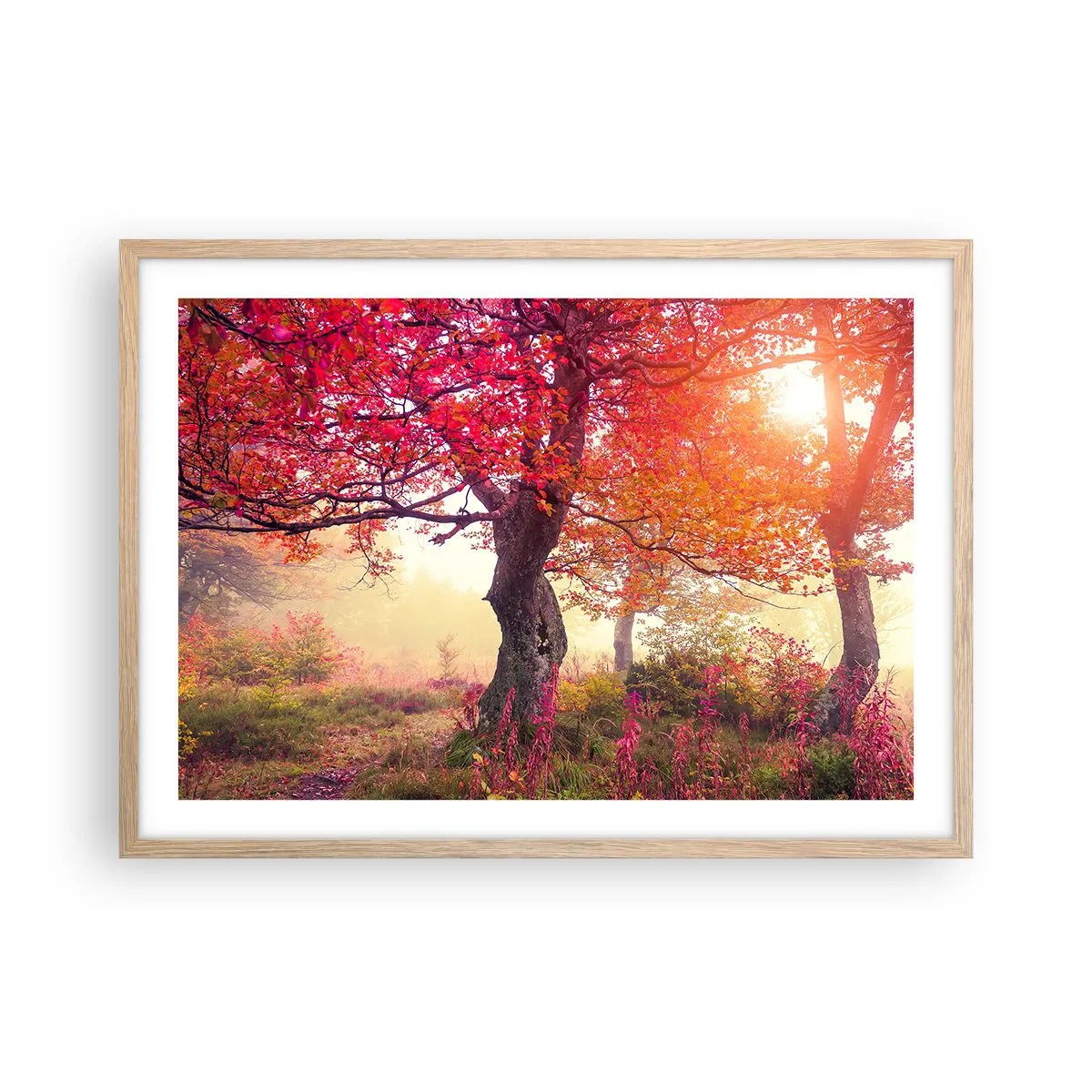 Plakat i ramme af lyst egetræ - Et væld af blomstring - 70x50 cm