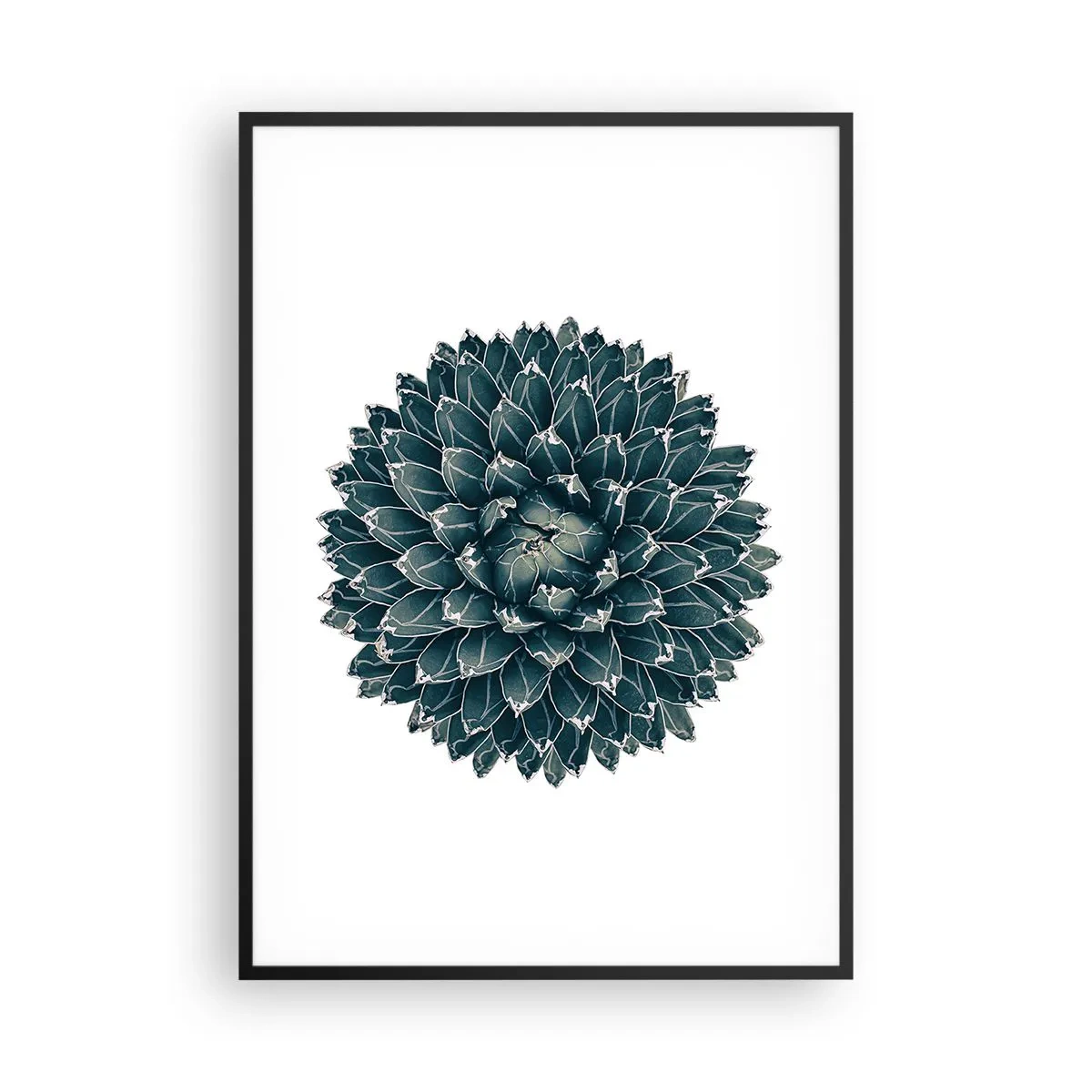 Plakat i sort ramme - Ørkenstjerne - 70x100 cm