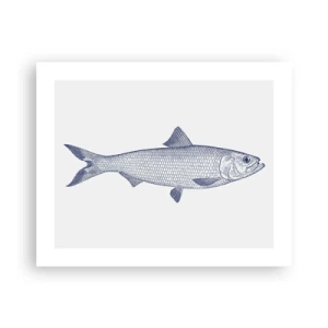 Plakat - Hilsner fra de nordlige have - 50x40 cm