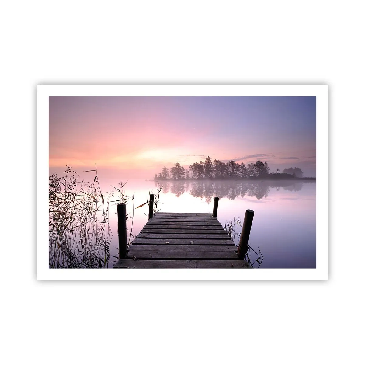 Plakat - Ud af den lilla tåge... - 91x61 cm