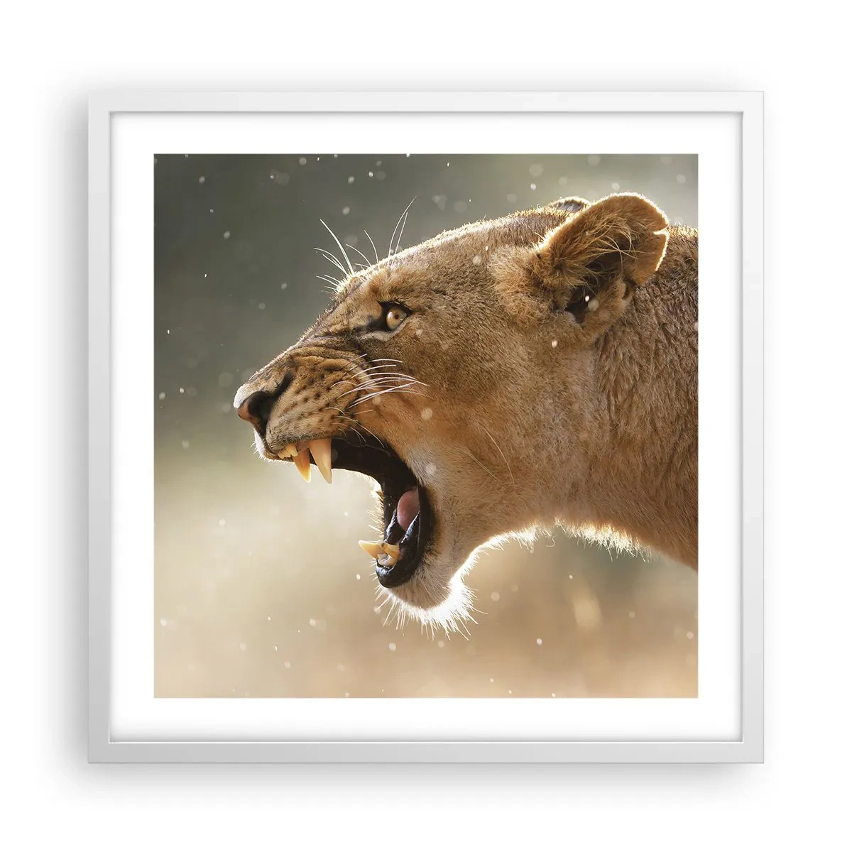 Plakat i hvid ramme - Prøv ikke at lytte - 50x50 cm