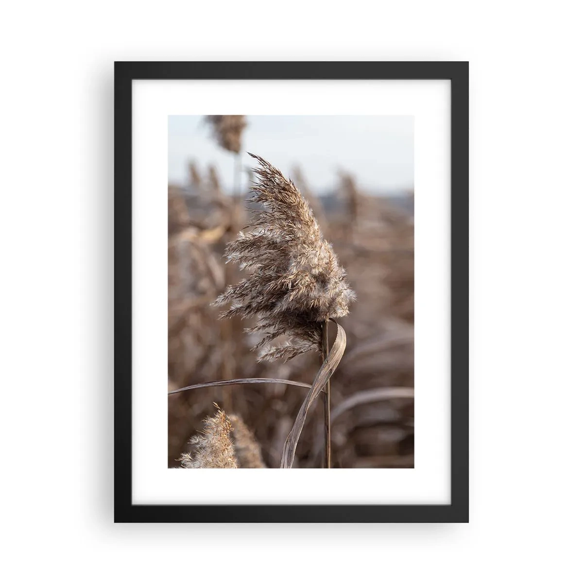 Plakat i sort ramme - Tid til at flyve væk med vinden - 30x40 cm