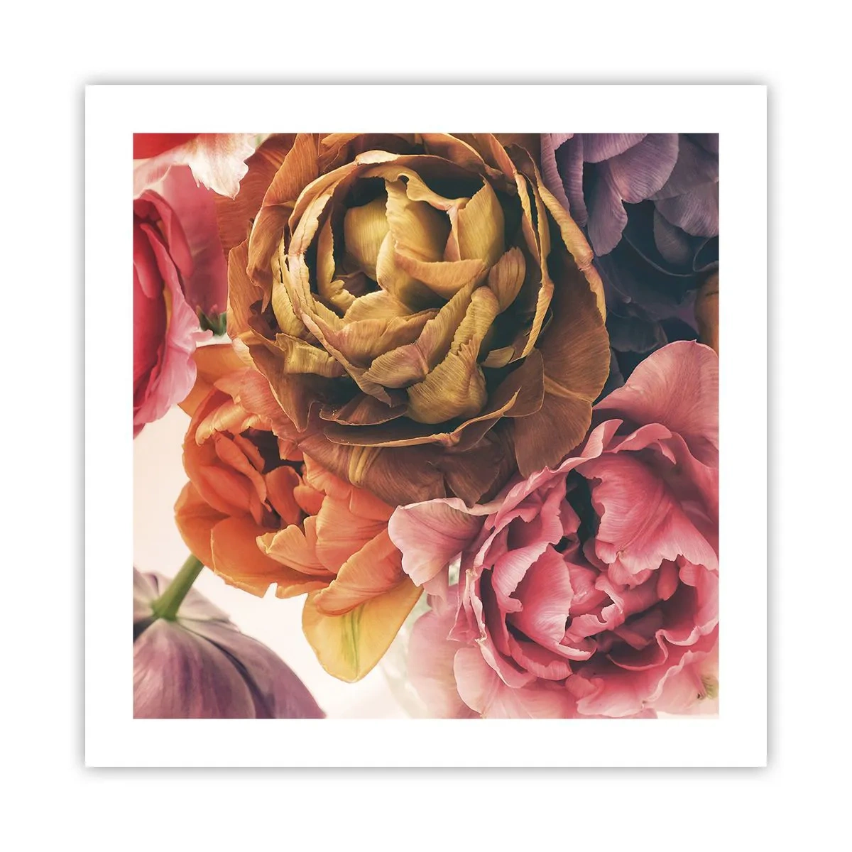 Plakat - Fejring af livet - 50x50 cm