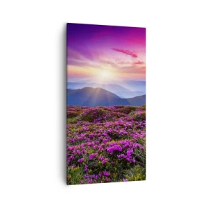 Lærredstryk - Billede på lærred - Urter duftede friske bundter fra niw - 55x100 cm