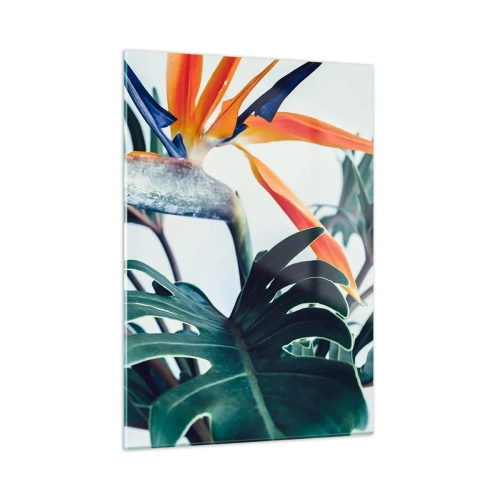 Billede på glas - Fuglebur - 50x70 cm