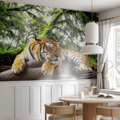 Fototapet Standard Eco - Med venlig hilsen - Tiger, Dyr, Predator - 350x256 cm