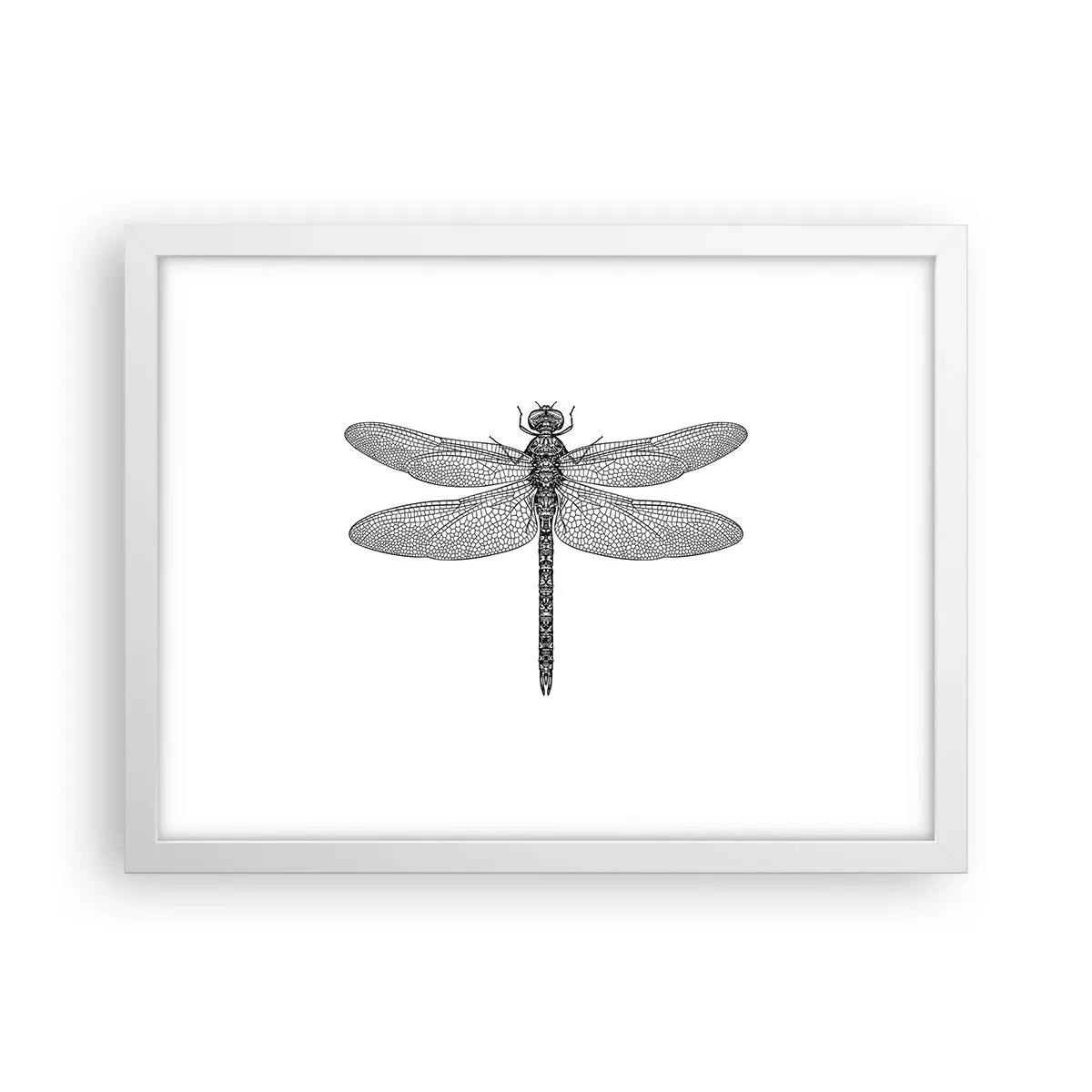 Plakat i hvid ramme - Præcision i naturen - 40x30 cm