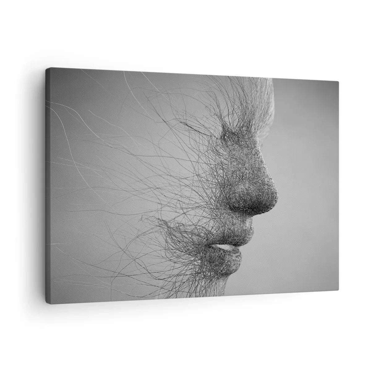 Lærredstryk - Billede på lærred - Kunstnerisk ansigtsprofil skabt med fine linjer - 70x50cm - Vindens ånd - Moderne vægdekoration til stue og soveværelse ARTTOR