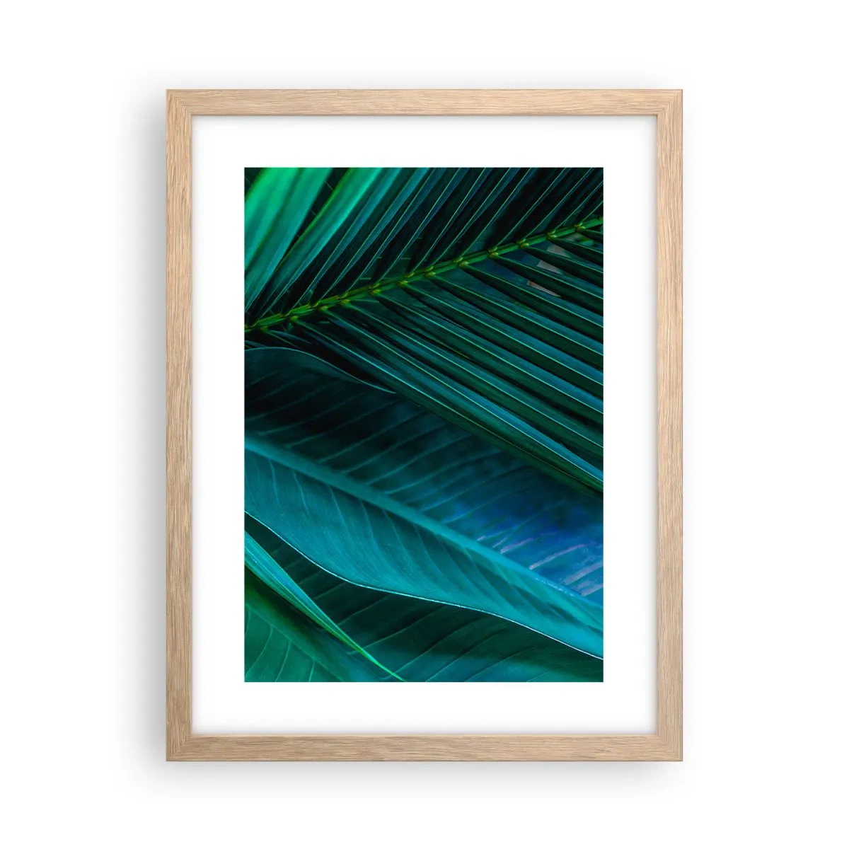 Plakat i ramme af lyst egetræ - Anatomi af en grøn - 30x40 cm