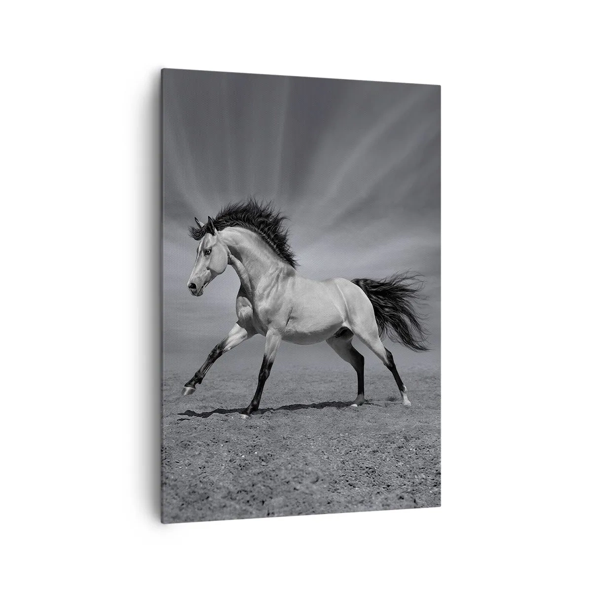 Lærredstryk - Billede på lærred - Født til glæde - 70x100 cm