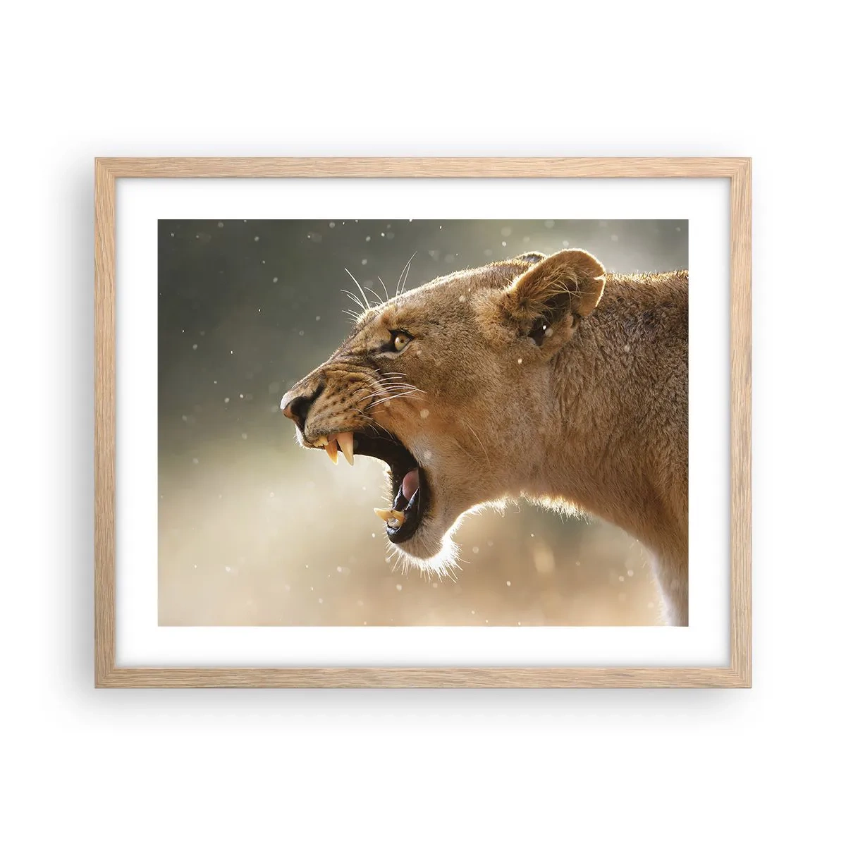 Plakat i ramme af lyst egetræ - Prøv ikke at lytte - 50x40 cm