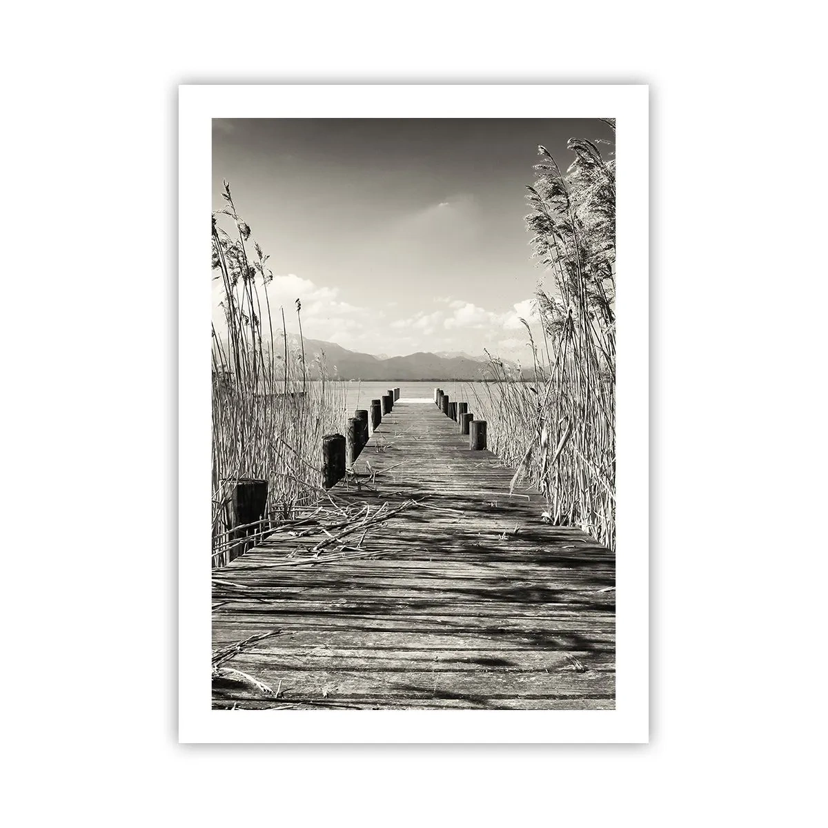 Plakat - I græssernes fred - 50x70 cm