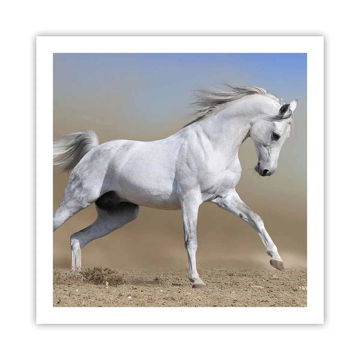 Plakat - Den smukkeste arabiske fortælling - 60x60 cm