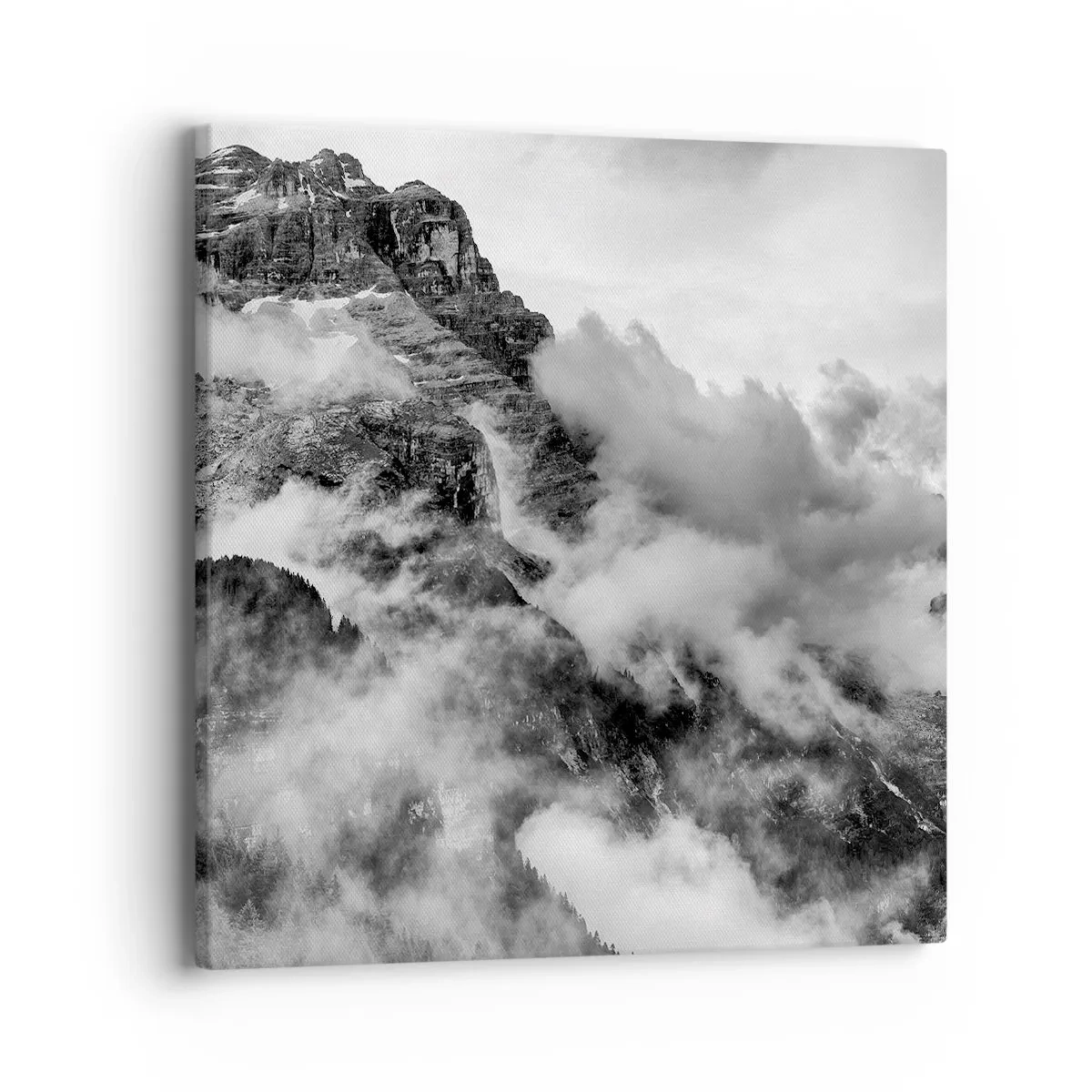 Lærredstryk - Billede på lærred - Smukt og grusomt - 40x40 cm