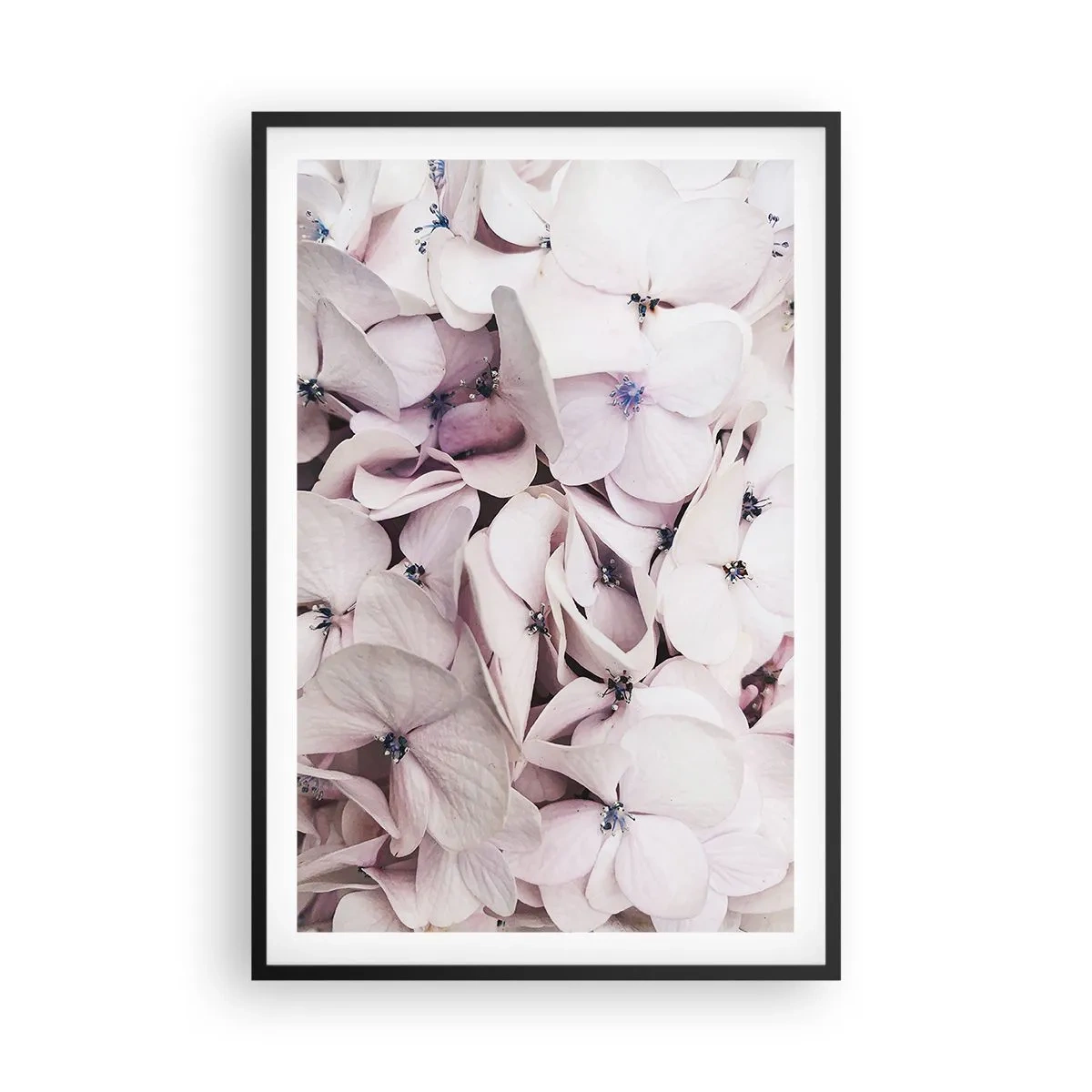 Plakat i sort ramme - I en flod af blomster - 61x91 cm