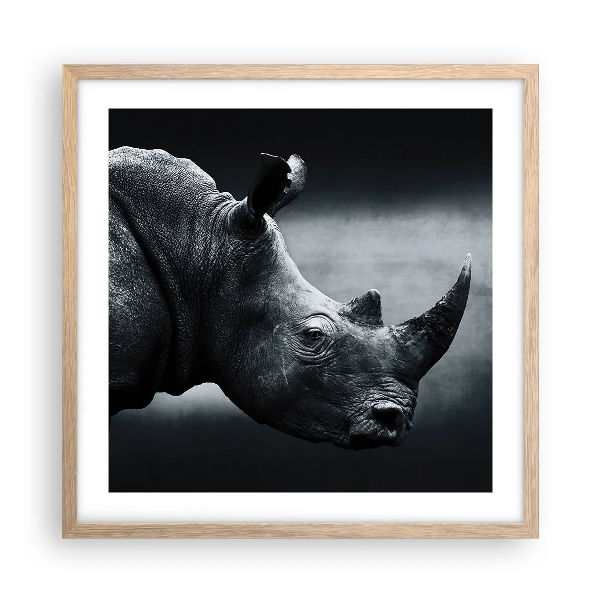 Plakat i ramme af lyst egetræ - Højre profil - 50x50 cm