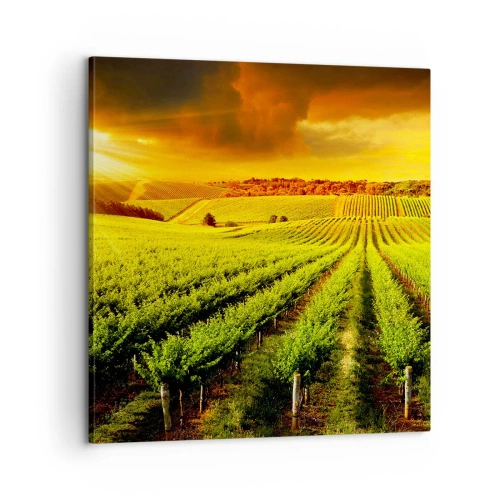 Lærredstryk - Billede på lærred - Under den australske sol - 60x60 cm