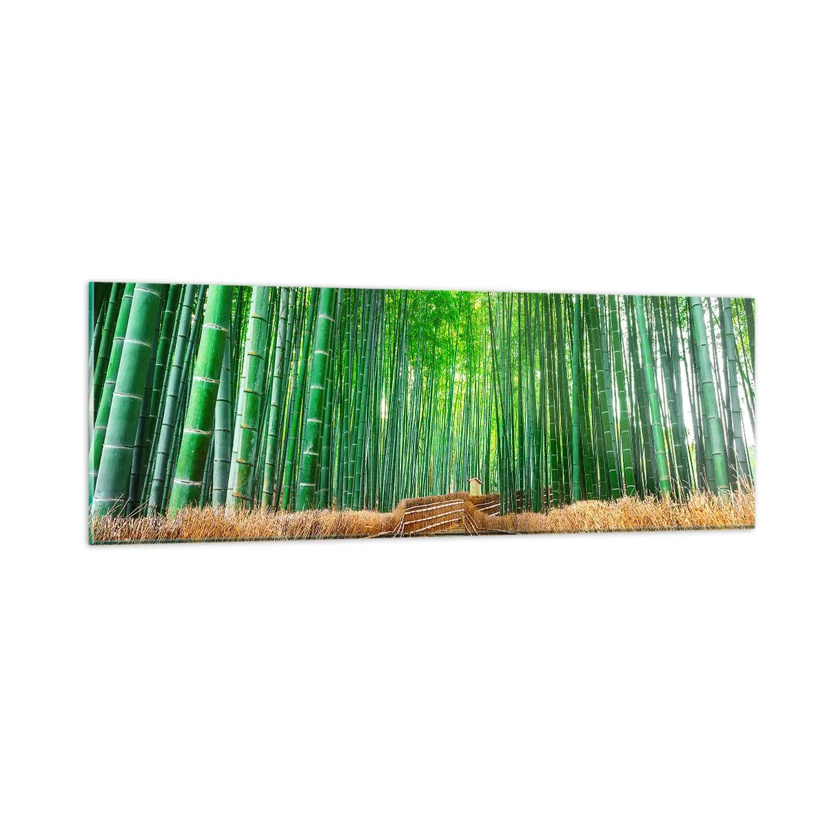 Billede på glas - Essensen af den asiatiske natur - 90x30 cm