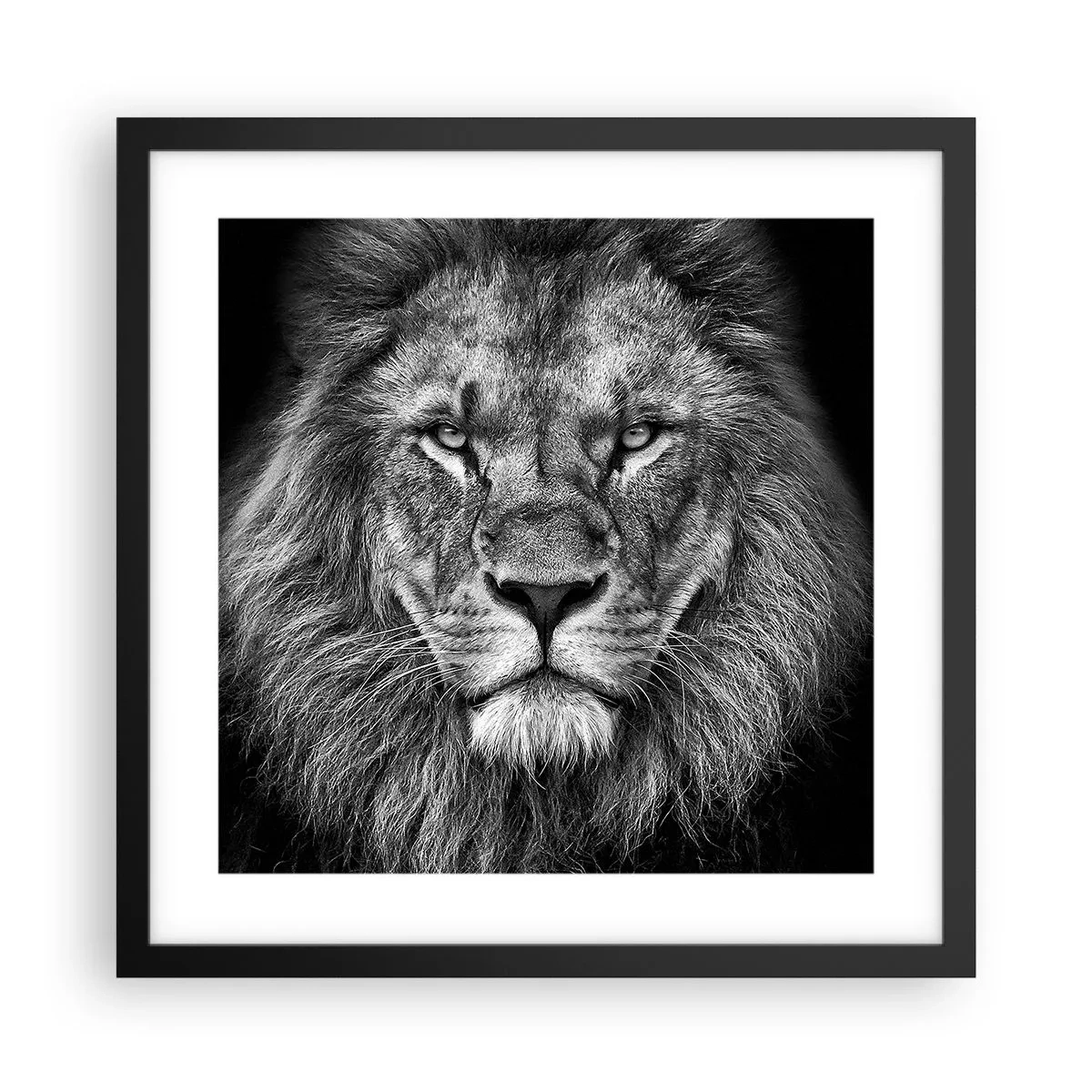 Plakat i sort ramme - I kroningsklædning - 40x40 cm