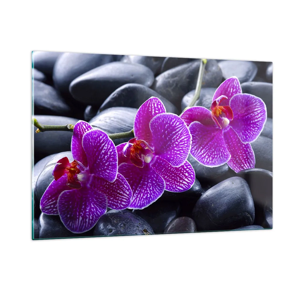 Billede på glas - Stenene lyste op af glæde - 120x80 cm