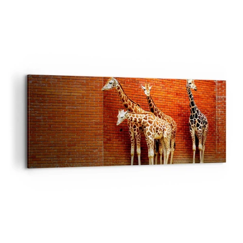 Lærredstryk - Billede på lærred - Kan du se nogen akacie? - 120x50 cm