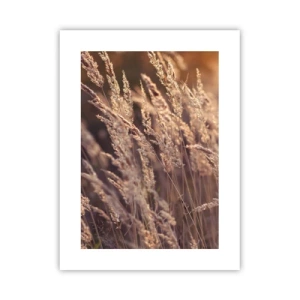 Plakat - Klar til at byde efteråret velkommen - 30x40 cm