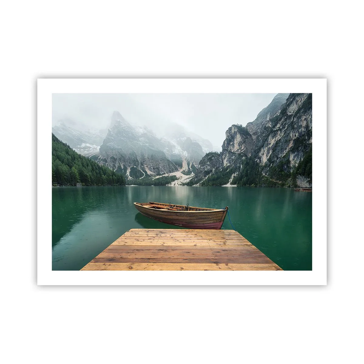 Plakat - "Og stolte pander" - 70x50 cm