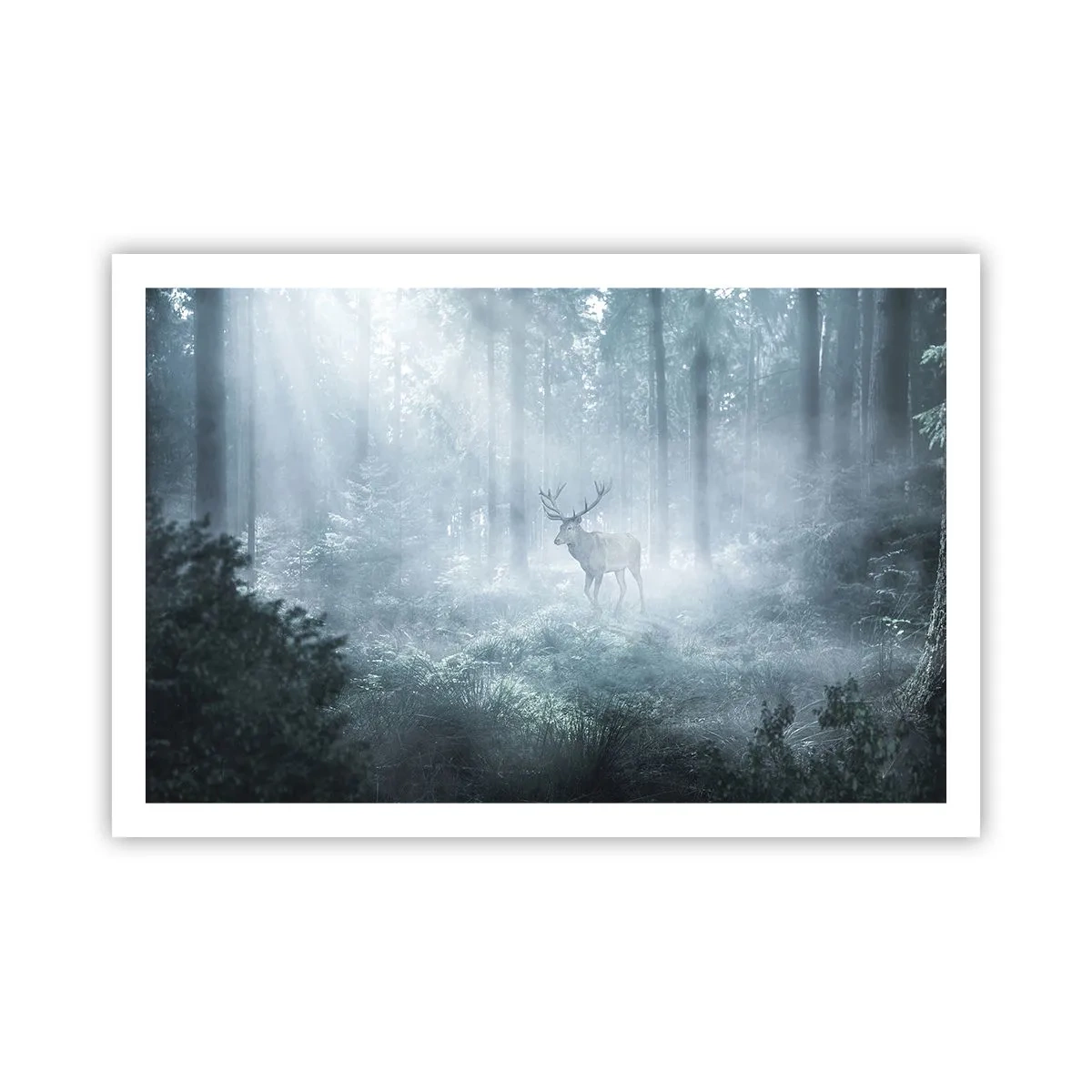 Plakat - Morgenvandring rundt på godset - 91x61 cm