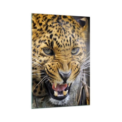 Billede på glas - Kom ikke op, jeg advarer dig! - 70x100 cm