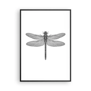 Plakat i sort ramme - Præcision i naturen - 70x100 cm