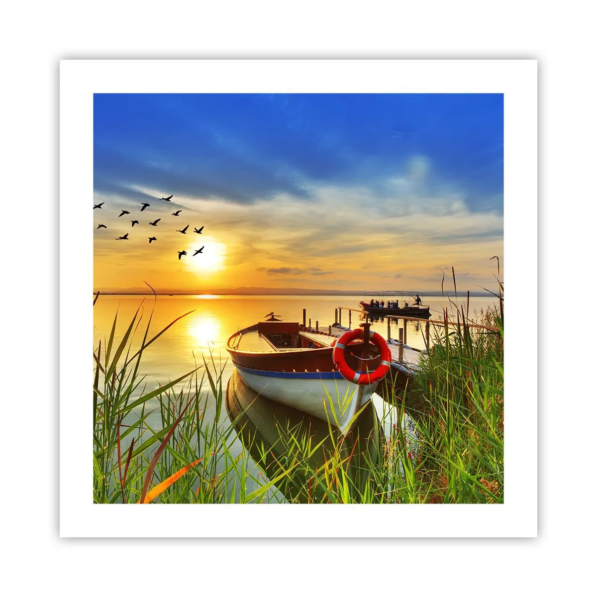 Plakat - Skarverne er allerede på vej væk - 50x50 cm