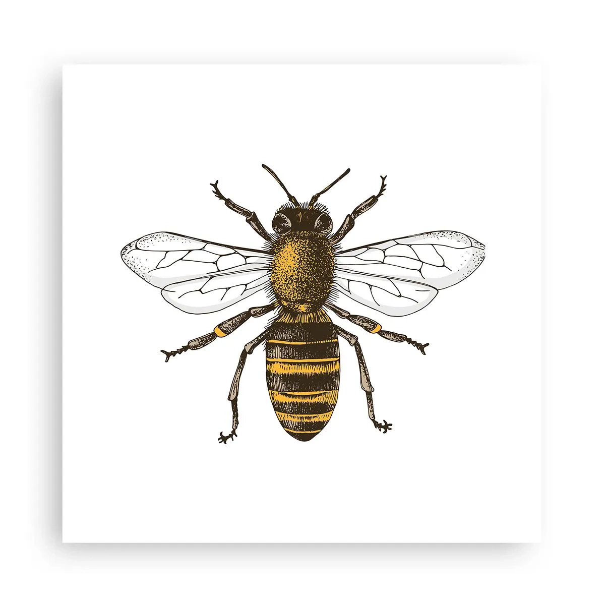 Plakat - Smuk og god - 30x30 cm