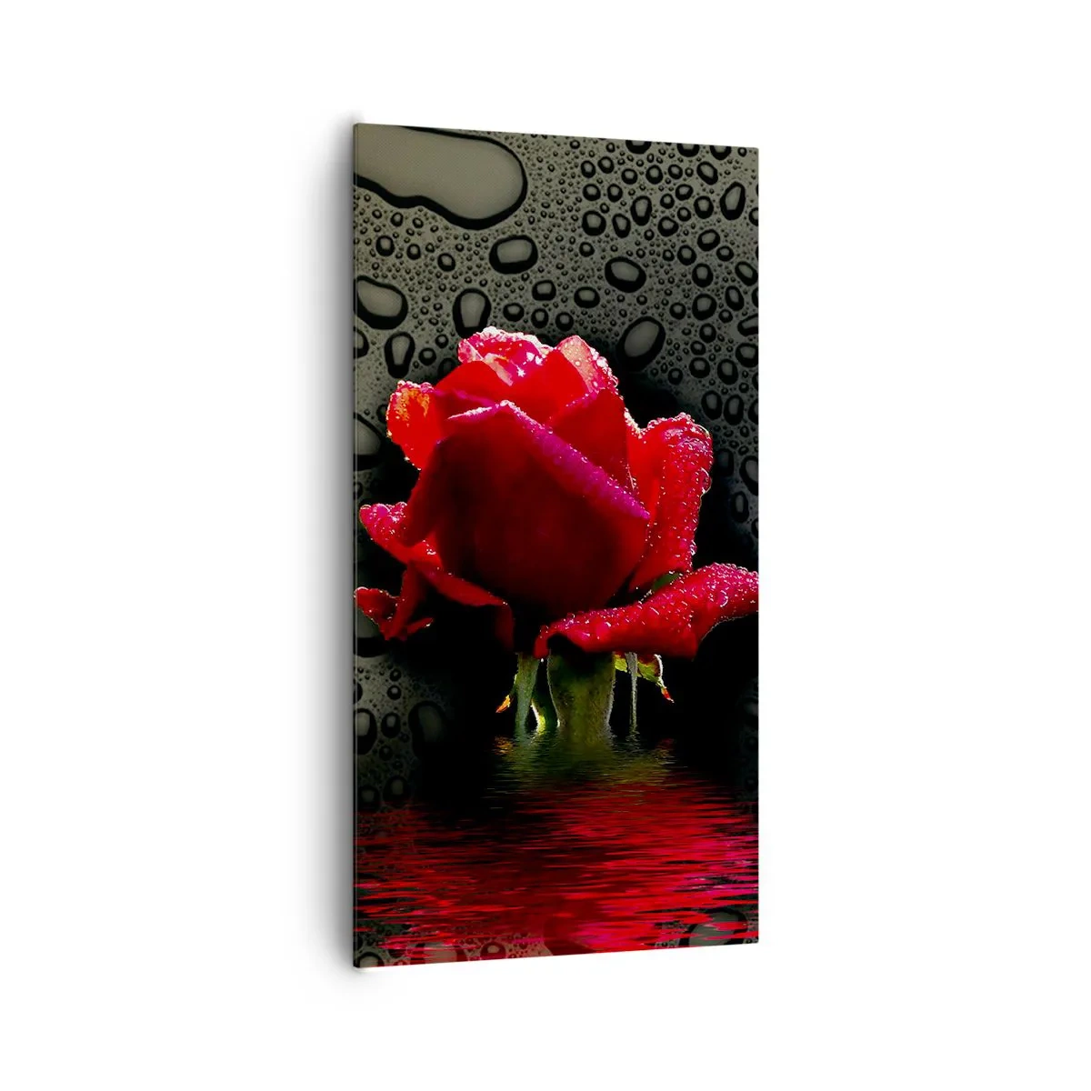 Lærredstryk - Billede på lærred - Rød og sort - 65x120 cm