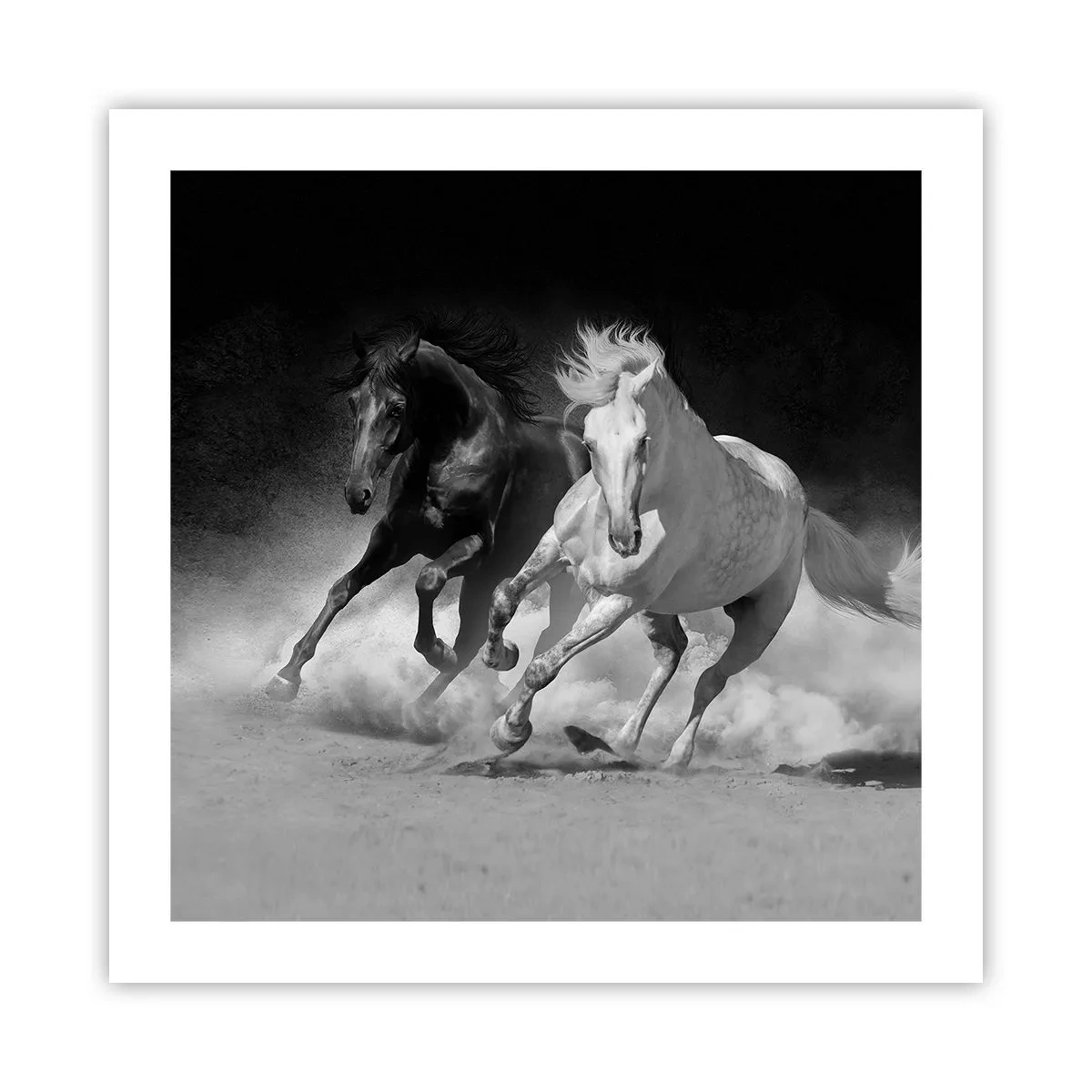 Plakat - Frihedens galop - 50x50 cm