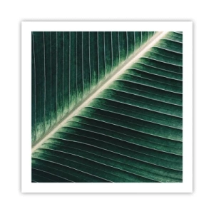 Plakat - Naturens rytme - 60x60 cm