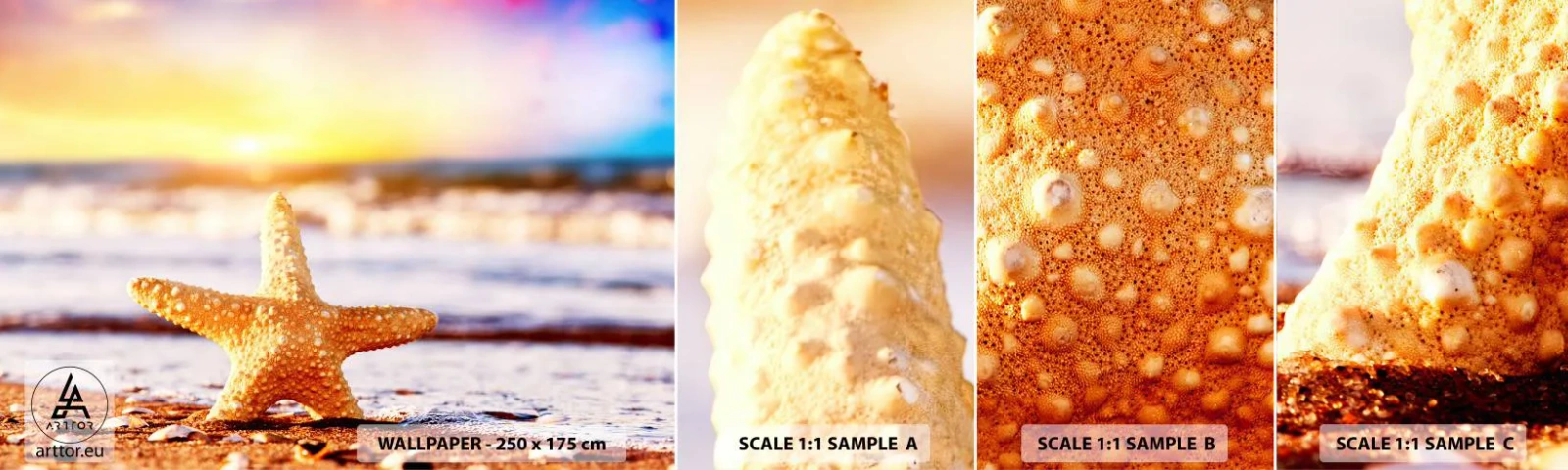 Prøve Fototapet Selvklæbende Deluxe Sticker - Maritime gave - Søstjerne, Strand, Ocean - 100x30 cm