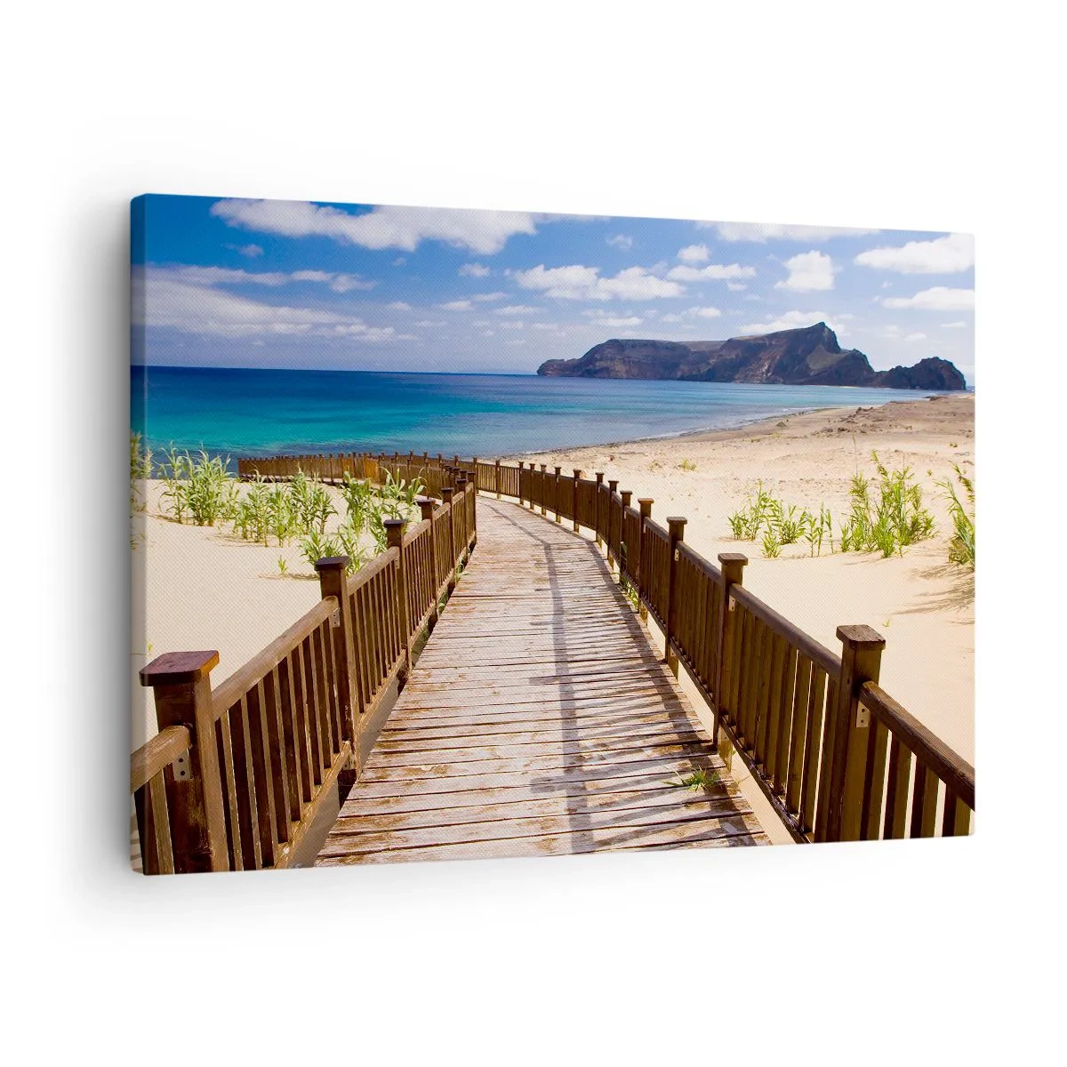 Lærredstryk - Billede på lærred - Træsti, der fører til stranden med havudsigt - 70x50cm - Tag mig med til de glade øer - Moderne vægdekoration til stue og soveværelse ARTTOR