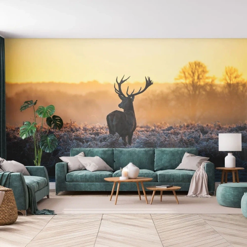 Fototapet Premium Sand - Kronet på sine godser - Landskab, Dyr, Hjort - 400x280 cm