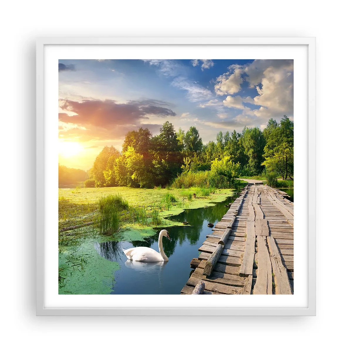 Plakat i hvid ramme - Sommer, sommer overalt - 60x60 cm