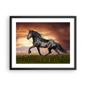 Plakat i sort ramme - Sort prins - 50x40 cm