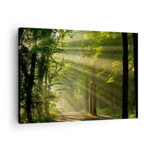 Lærredstryk - Billede på lærred - Skovsti med solstråler, der skinner gennem træerne - 70x50cm - Øjeblik i skoven - Moderne vægdekoration til stue og soveværelse ARTTOR