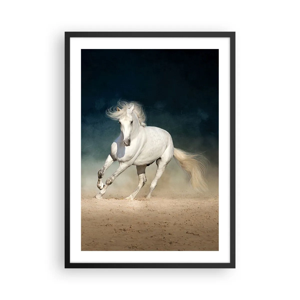 Plakat i sort ramme - En hvid hest galoperer hen over sandjorden - 50x70cm - Frihed i en ren tilstand - Moderne vægdekoration til stue og soveværelse ARTTOR