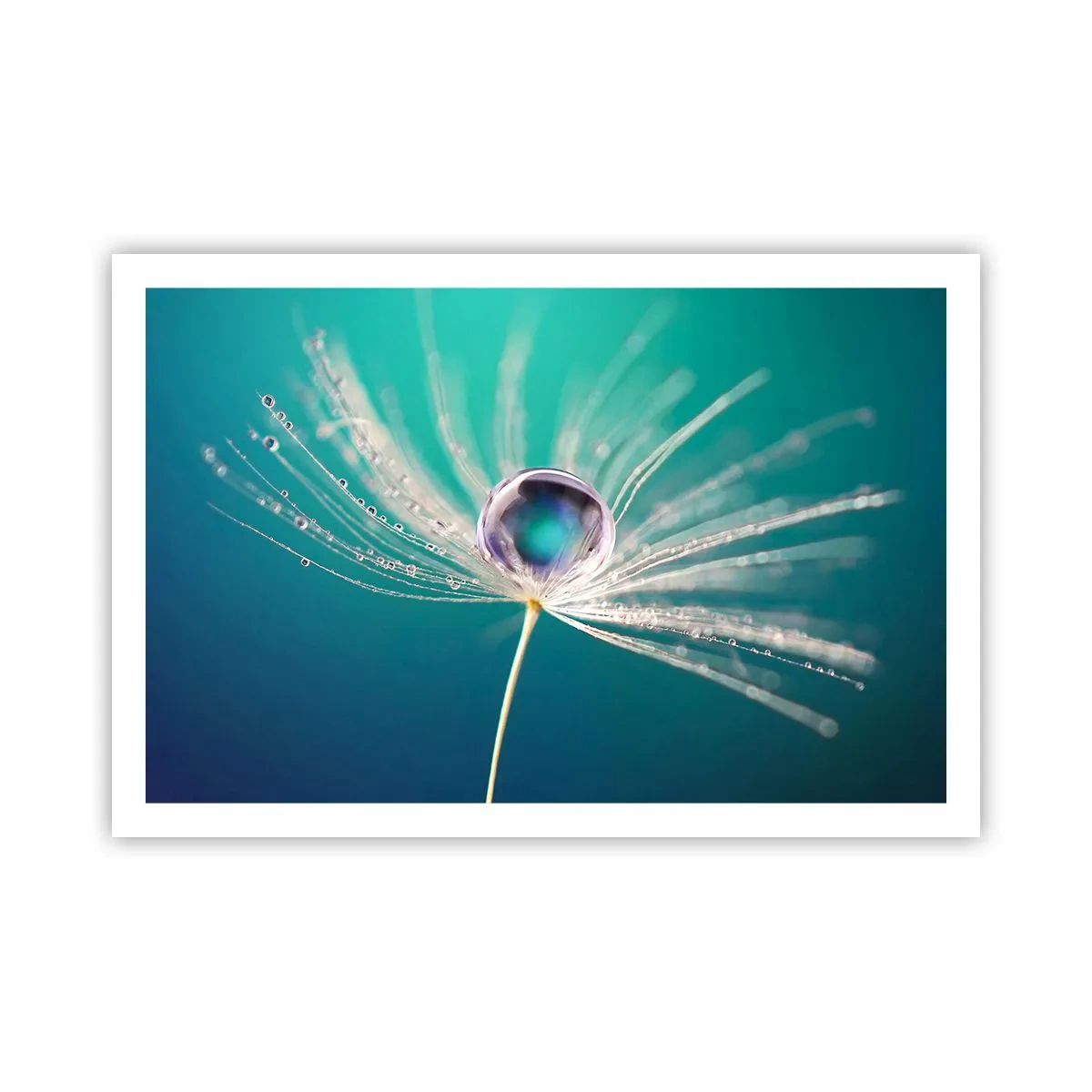 Plakat - Mystisk øjeblik - 91x61 cm