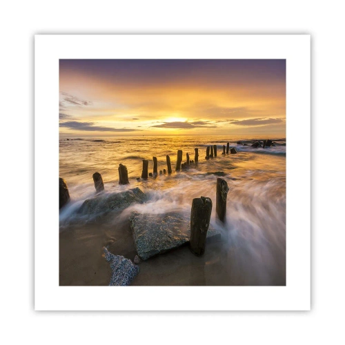 Plakat - Østersøens rå skønhed - 40x40 cm