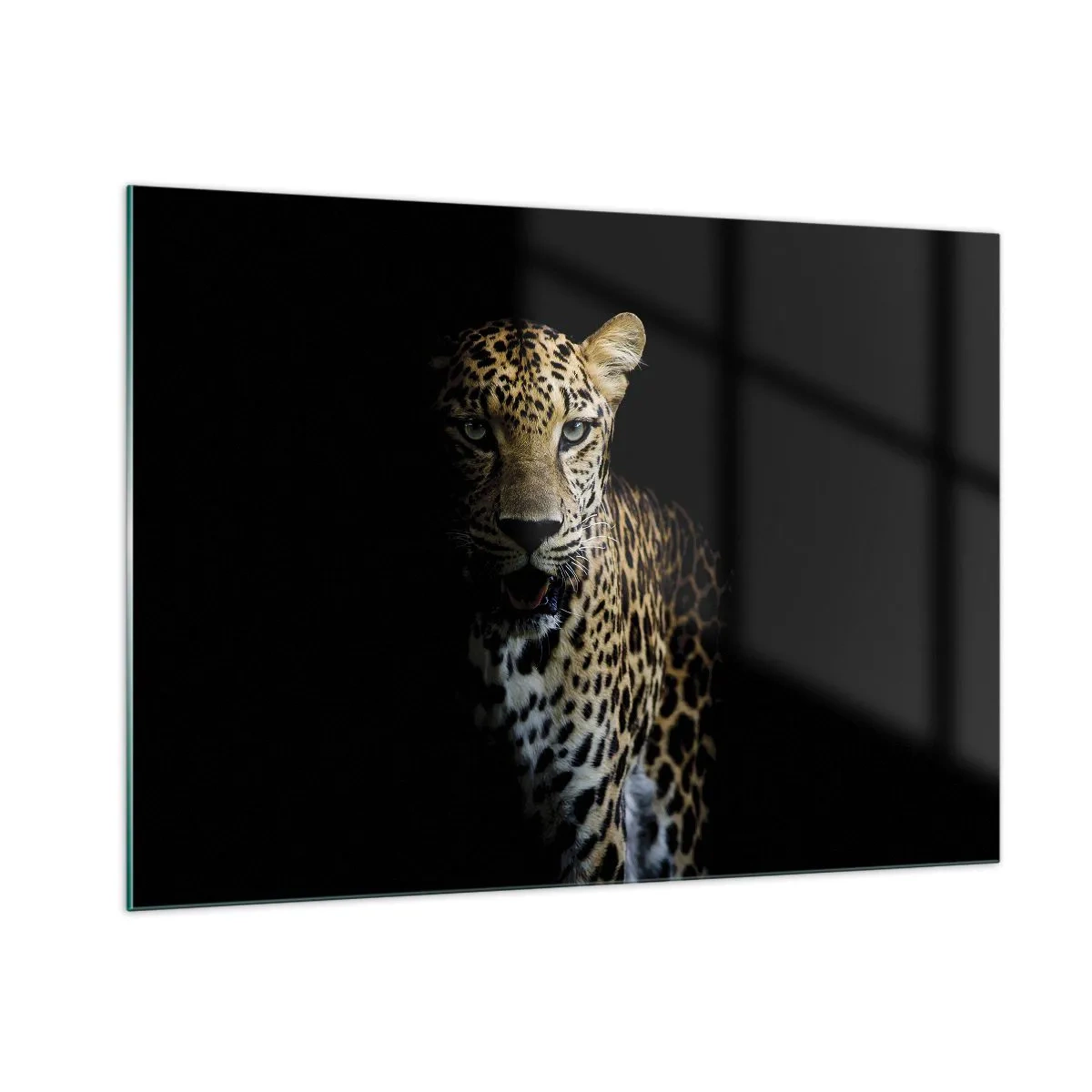 Billede på glas - Mørk skønhed - 100x70 cm