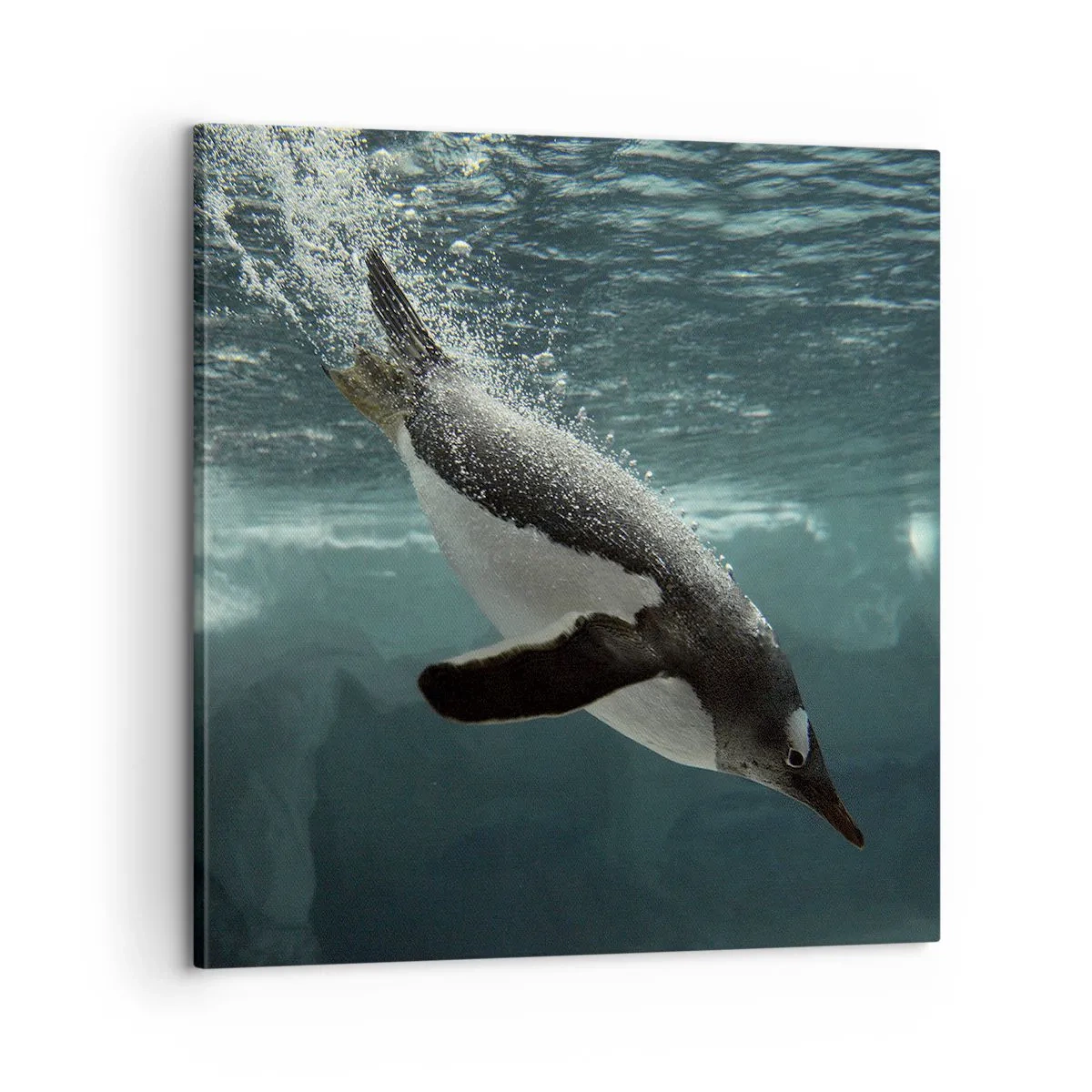 Lærredstryk - Billede på lærred - Velkommen til min verden - 60x60 cm