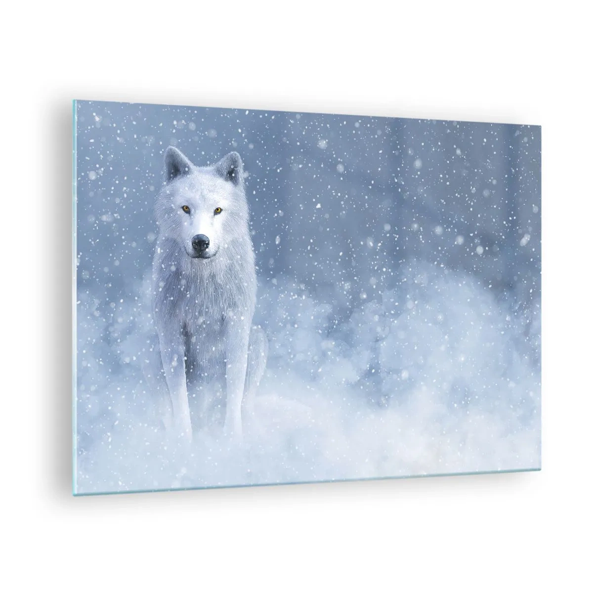 Billede på glas - En hvid ulv i en snestorm kigger lige frem - 70x50cm - I vinterens ånd - Moderne vægdekoration til stue og soveværelse ARTTOR