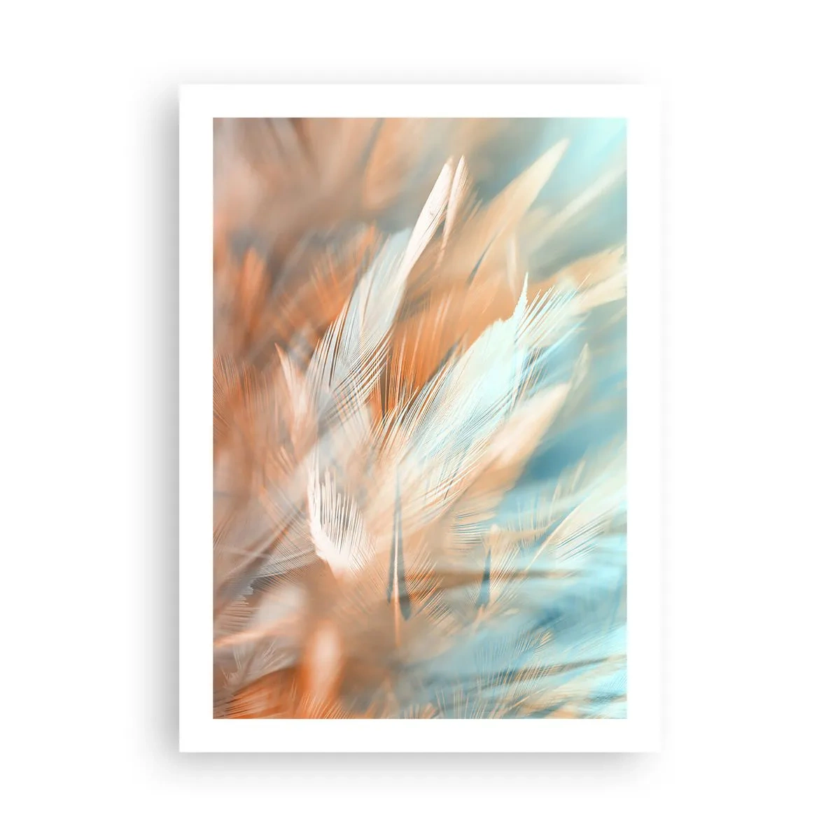 Plakat - I mildhedens land - 50x70 cm