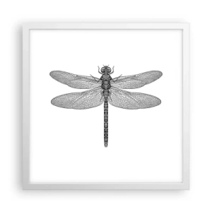 Plakat i hvid ramme - Præcision i naturen - 40x40 cm