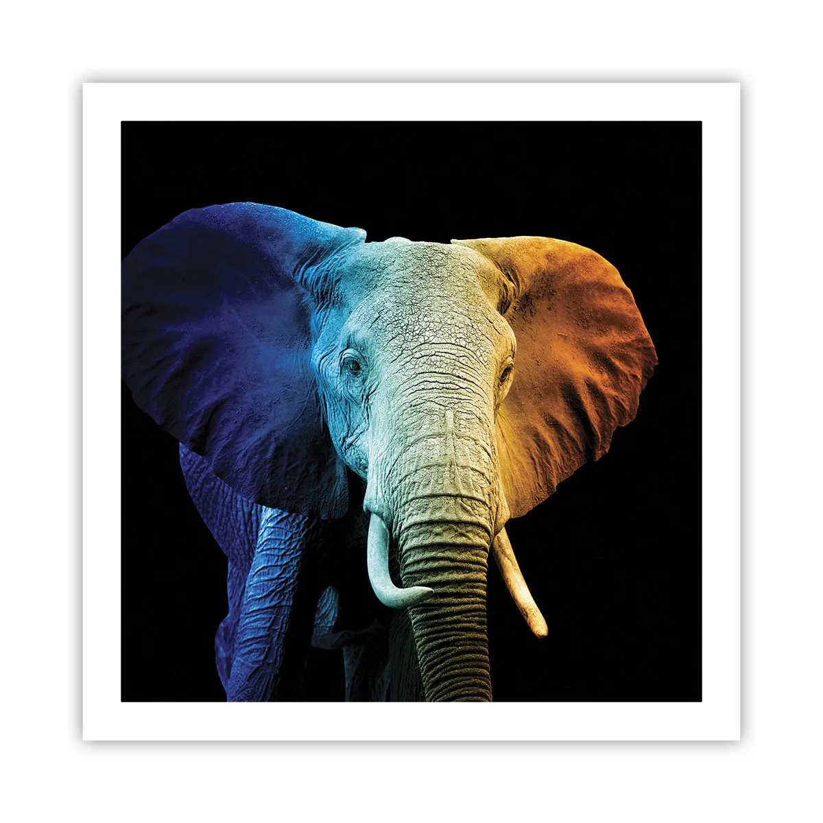 Plakat - Excentrisk, ikke underlig - 60x60 cm